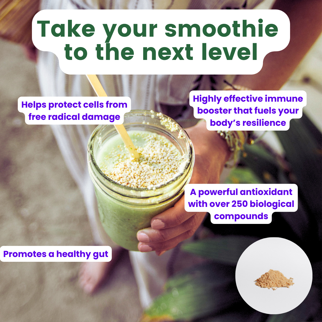 Wellness Smoothie Power Bundle